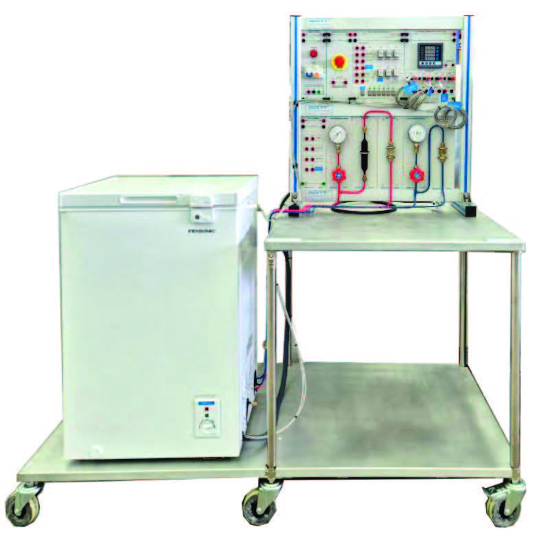 FREEZER DEMONSTRATOR TRAINER